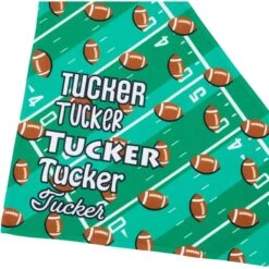 Frisco Football Personalized Dog & Cat Bandana 15 Frisco Football Personalized Dog & Cat Bandana -Chewy 287044 PT4. AC SS1800 V1623246178