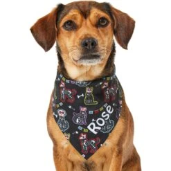 Frisco Dia De Los Muertos Personalized Dog & Cat Bandana 17 Frisco Dia De Los Muertos Personalized Dog & Cat Bandana -Chewy 287052 PT6. AC SS1800 V1623246755