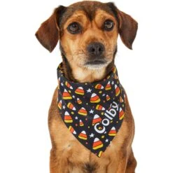 Frisco Candy Corn Personalized Dog & Cat Bandana 17 Frisco Candy Corn Personalized Dog & Cat Bandana -Chewy 287056 PT6. AC SS1800 V1623246504