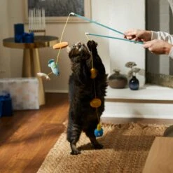 Frisco Holiday Hanukkah Teaser Cat Toy With Catnip, 2 Count 9 Frisco Holiday Hanukkah Teaser Cat Toy With Catnip, 2 Count -Chewy 287277 PT3. AC SS1800 V1632771712