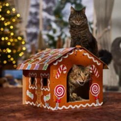 Frisco Holiday Gingerbread House Cardboard Cat House Cat Toy 12 Frisco Holiday Gingerbread House Cardboard Cat House Cat Toy -Chewy 287289 PT4. AC SS1800 V1694813217