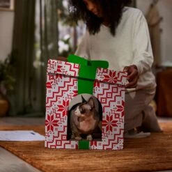 Frisco Holiday Gift Box Cardboard Cat House 11 Frisco Holiday Gift Box Cardboard Cat House -Chewy 287291 PT3. AC SS1800 V1695043502