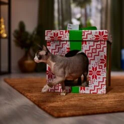 Frisco Holiday Gift Box Cardboard Cat House 12 Frisco Holiday Gift Box Cardboard Cat House -Chewy 287291 PT4. AC SS1800 V1695045716