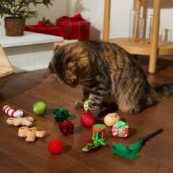 Frisco Holiday Festive Red Variety Pack Gift Box Cat Toy With Catnip, 14 Count 10 Frisco Holiday Festive Red Variety Pack Gift Box Cat Toy With Catnip, 14 Count -Chewy 287305 PT3. AC SS1800 V1632773836