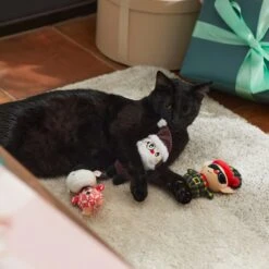 Frisco Holiday Hipster Santa & Friends Plush Cat Toy With Catnip, 3 Count 7 Frisco Holiday Hipster Santa & Friends Plush Cat Toy With Catnip, 3 Count -Chewy 287317 PT3. AC SS1800 V1632774130
