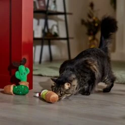 Frisco Holiday Cactus Plush Cat Toy With Catnip, 3 Count -Chewy 287329 PT3. AC SS1800 V1661874421