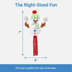 Frisco Naughty Or Nice Snowman Reversible Plush Cat Toy With Catnip 8 Frisco Naughty Or Nice Snowman Reversible Plush Cat Toy With Catnip -Chewy 287387 PT2. AC SS1800 V1637704002