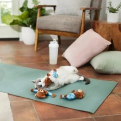 Frisco New Year, New Me Namaste Bear Plush Cat Toy With Catnip 7 Frisco New Year, New Me Namaste Bear Plush Cat Toy With Catnip -Chewy 288947 PT3. AC SS1800 V1638289414