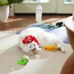 Frisco New Year, New Me Juice Cleanse Plush Cat Toy With Catnip -Chewy 288957 PT3. AC SS1800 V1638292099