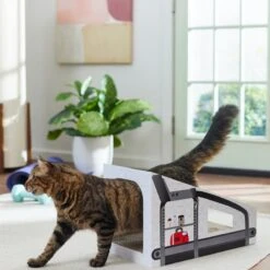 Frisco Treadmill Cardboard Cat House -Chewy 288967 PT3. AC SS1800 V1638288289