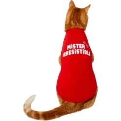 Frisco Mister Irresistible Dog & Cat T-Shirt -Chewy 292026 PT2. AC SS1800 V1637268745