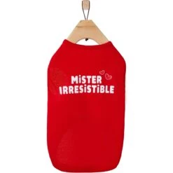 Frisco Mister Irresistible Dog & Cat T-Shirt -Chewy 292026 PT4. AC SS1800 V1637267791