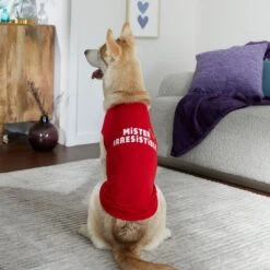 Frisco Mister Irresistible Dog & Cat T-Shirt -Chewy 292026 PT6. AC SS1800 V1701797008