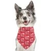 Frisco Love Letters Dog & Cat Bandana 2 Frisco Love Letters Dog & Cat Bandana -Chewy 292051 MAIN. AC SS1800 V1637269309