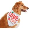 Frisco Love Bites Dog & Cat Bandana 1 Frisco Love Bites Dog & Cat Bandana -Chewy 292054 MAIN. AC SS1800 V1637268755