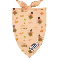 Front Page 13 Frisco Quirky Thanksgiving Personalized Dog & Cat Bandana