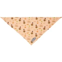Frisco Quirky Thanksgiving Personalized Dog & Cat Bandana 14 Frisco Quirky Thanksgiving Personalized Dog & Cat Bandana -Chewy 296986 PT3. AC SS1800 V1627654956