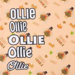 Frisco Quirky Thanksgiving Personalized Dog & Cat Bandana 15 Frisco Quirky Thanksgiving Personalized Dog & Cat Bandana -Chewy 296986 PT4. AC SS1800 V1627655269