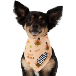 Frisco Quirky Thanksgiving Personalized Dog & Cat Bandana 17 Frisco Quirky Thanksgiving Personalized Dog & Cat Bandana -Chewy 296986 PT6. AC SS1800 V1627654020