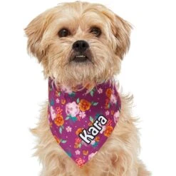 Frisco Fall Floral Personalized Dog & Cat Bandana 17 Frisco Fall Floral Personalized Dog & Cat Bandana -Chewy 296990 PT6. AC SS1800 V1627654305