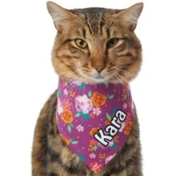 Frisco Fall Floral Personalized Dog & Cat Bandana 18 Frisco Fall Floral Personalized Dog & Cat Bandana -Chewy 296990 PT7. AC SS1800 V1627653979