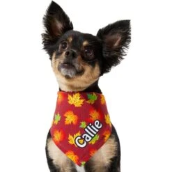 Frisco Fall Leaves Personalized Dog & Cat Bandana 17 Frisco Fall Leaves Personalized Dog & Cat Bandana -Chewy 296994 PT6. AC SS1800 V1627654351