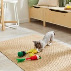 Frisco Brunch Bottomless Mimosas Plush Cat Toy With Catnip, 3 Count -Chewy 297288 PT2. AC SS1800 V1642088553