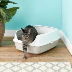 Frisco Decorative Side Table Cat Litter Box Cover & Frisco Open Top Cat Litter Box With Rim, Large -Chewy 297992 PT6. AC SS1800 V1621299762