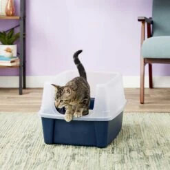 Frisco Plastic Litter Scooper With Caddy & IRIS USA Open Top Litter Box With Scatter Shield 15 Frisco Plastic Litter Scooper With Caddy & IRIS USA Open Top Litter Box With Scatter Shield -Chewy 298166 PT6. AC SS1800 V1623202669