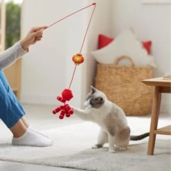 Frisco Lunar New Year Firecracker & Lantern Teaser Cat Toy With Catnip 7 Frisco Lunar New Year Firecracker & Lantern Teaser Cat Toy With Catnip -Chewy 298901 PT3. AC SS1800 V1640269210