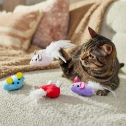 Frisco Valentine Heart Mice Plush Cat Toy With Catnip 8 Frisco Valentine Heart Mice Plush Cat Toy With Catnip -Chewy 298954 PT3. AC SS1800 V1701364814