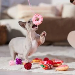 Frisco Valentine Variety Pack Cat Toy With Catnip, 13 Count 10 Frisco Valentine Variety Pack Cat Toy With Catnip, 13 Count -Chewy 298966 PT3. AC SS1800 V1701364858