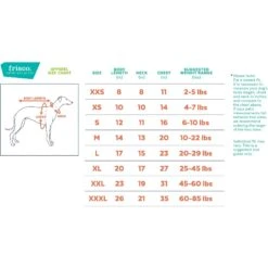 Frisco I'm A Little Eggs-tra Dog & Cat T-Shirt 9 Frisco I'm A Little Eggs-tra Dog & Cat T-Shirt -Chewy 300646 PT1. AC SS1800 V1641508015