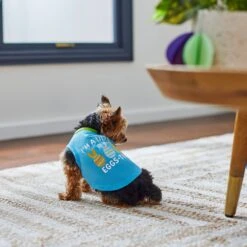 Frisco I'm A Little Eggs-tra Dog & Cat T-Shirt 13 Frisco I'm A Little Eggs-tra Dog & Cat T-Shirt -Chewy 300646 PT5. AC SS1800 V1641542509