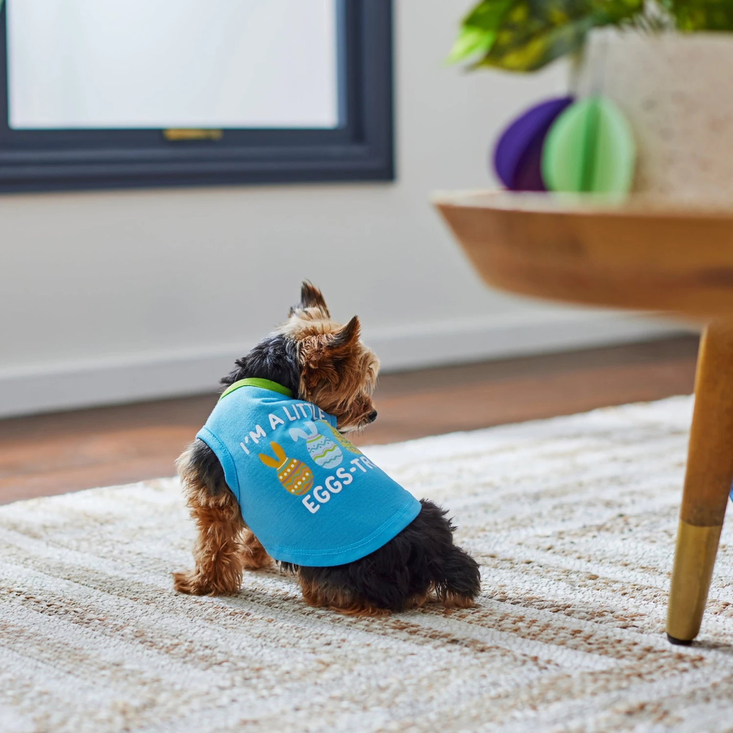 Frisco I'm A Little Eggs-tra Dog & Cat T-Shirt 8 Frisco I'm A Little Eggs-tra Dog & Cat T-Shirt - Image 6