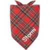 Frisco Tartan Plaid Embroidered Personalized Dog & Cat Bandana 2 Frisco Tartan Plaid Embroidered Personalized Dog & Cat Bandana -Chewy 301157 MAIN. AC SS1800 V1628011946