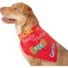 Frisco Official Cookie Tester Personalized Dog & Cat Bandana 2 Frisco Official Cookie Tester Personalized Dog & Cat Bandana -Chewy 301353 MAIN. AC SS1800 V1632923476