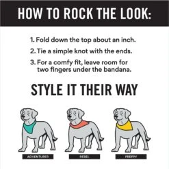 Frisco Official Cookie Tester Personalized Dog & Cat Bandana 9 Frisco Official Cookie Tester Personalized Dog & Cat Bandana -Chewy 301353 PT2. AC SS1800 V1623274346