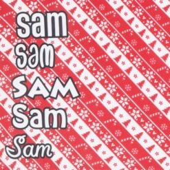 Frisco Fair Isle Personalized Dog & Cat Bandana 14 Frisco Fair Isle Personalized Dog & Cat Bandana -Chewy 301357 PT4. AC SS1800 V1627654637