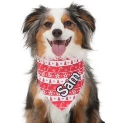 Frisco Fair Isle Personalized Dog & Cat Bandana 16 Frisco Fair Isle Personalized Dog & Cat Bandana -Chewy 301357 PT6. AC SS1800 V1628100112