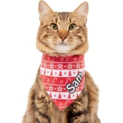 Frisco Fair Isle Personalized Dog & Cat Bandana 17 Frisco Fair Isle Personalized Dog & Cat Bandana -Chewy 301357 PT7. AC SS1800 V1628100084