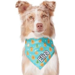Frisco Gingerbread Cookie Personalized Dog & Cat Bandana -Chewy 301361 PT6. AC SS1800 V1628100109