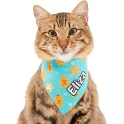 Frisco Gingerbread Cookie Personalized Dog & Cat Bandana -Chewy 301361 PT7. AC SS1800 V1628100087