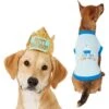 Frisco Happy Birthday Dog & Cat Crown & Frisco It's My Birthday & Cat T-Shirt 2 Frisco Happy Birthday Dog & Cat Crown & Frisco It's My Birthday & Cat T-Shirt -Chewy 302470 MAIN. AC SS1800 V1623076950