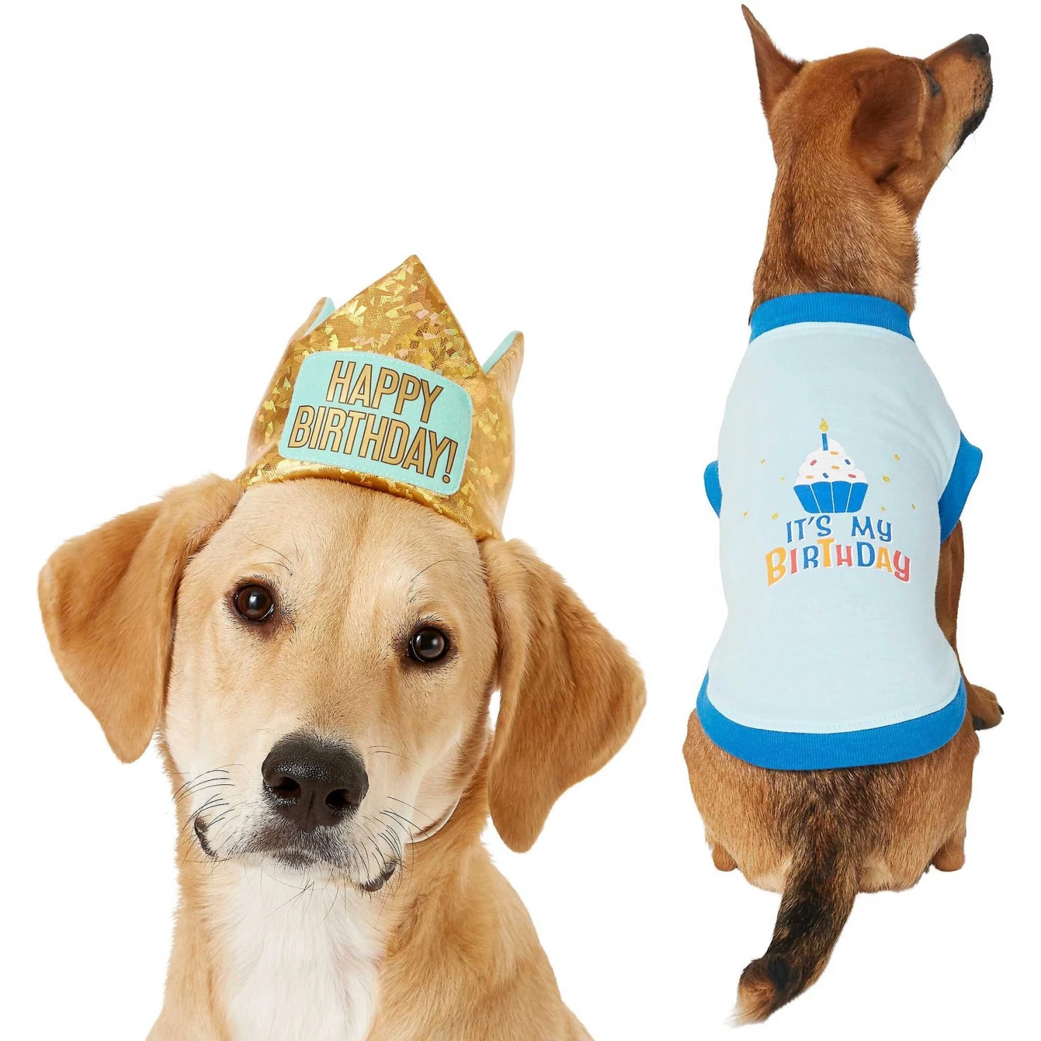 Frisco Happy Birthday Dog & Cat Crown & Frisco It's My Birthday & Cat T-Shirt 3 Frisco Happy Birthday Dog & Cat Crown & Frisco It's My Birthday & Cat T-Shirt