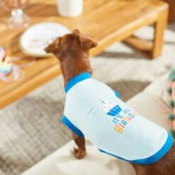 Frisco Happy Birthday Dog & Cat Crown & Frisco It's My Birthday & Cat T-Shirt 18 Frisco Happy Birthday Dog & Cat Crown & Frisco It's My Birthday & Cat T-Shirt -Chewy 302470 PT7. AC SS1800 V1623037657