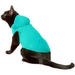 Frisco Basic Dog & Cat T-Shirt & Frisco Dog & Cat Basic Hoodie 15 Frisco Basic Dog & Cat T-Shirt & Frisco Dog & Cat Basic Hoodie -Chewy 302680 PT4. AC SS1800 V1633076172