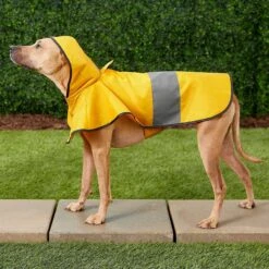 Frisco Lightweight Rainy Days Dog Raincoat & Frisco Lightweight Clear Vinyl Dog Raincoat 15 Frisco Lightweight Rainy Days Dog Raincoat & Frisco Lightweight Clear Vinyl Dog Raincoat -Chewy 302814 PT4. AC SS1800 V1623089554
