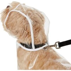 Frisco Lightweight Rainy Days Dog Raincoat & Frisco Lightweight Clear Vinyl Dog Raincoat 17 Frisco Lightweight Rainy Days Dog Raincoat & Frisco Lightweight Clear Vinyl Dog Raincoat -Chewy 302814 PT6. AC SS1800 V1623065256