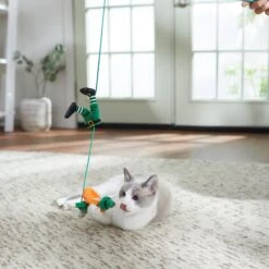 Frisco St. Patrick's Leprechaun Teaser Wand Cat Toy With Catnip 8 Frisco St. Patrick's Leprechaun Teaser Wand Cat Toy With Catnip -Chewy 303104 PT3. AC SS1800 V1641230319